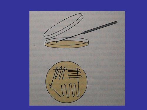 貴陽生物技術服務公司 貴陽生物技術服務公司